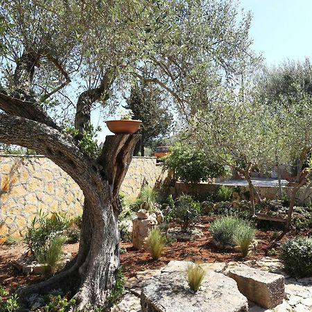 Pere Apartment Korcula Town Exterior photo